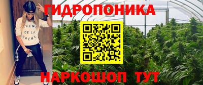 spice Нальчик