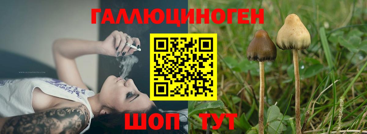 Галлюциногенные грибы Magic Shrooms Тимашёвск